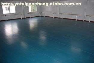 010,價格,廠家,供應(yīng)商,舞蹈用品,滄州籃鯨文體器材設(shè)備廠 熱賣促銷