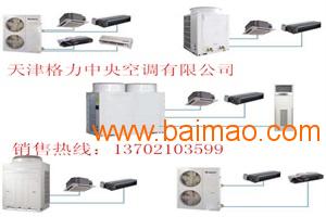 天津銷售量最大的格力空調(diào)公司聯(lián)系人 津濱制冷設備供 ,天津銷售量最大的格力空調(diào)公司聯(lián)系人 津濱制冷設備供 生產(chǎn)廠家,天津銷售量最大的格力空調(diào)公司聯(lián)系人 津濱制冷設備供